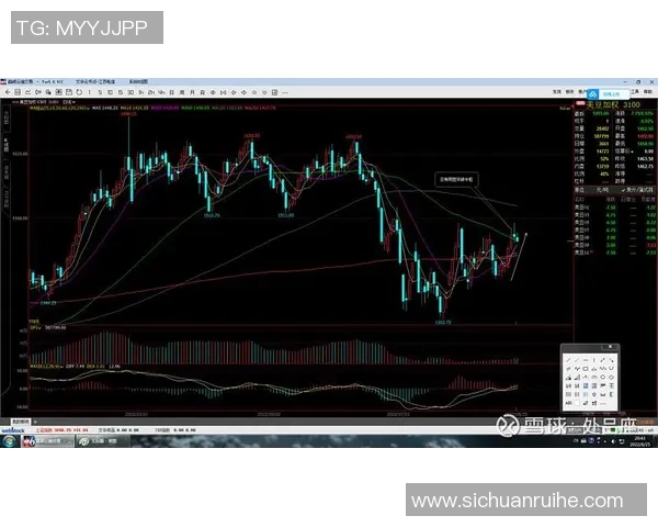 重庆羽毛球队与成都羽毛球队赛后复盘分析比赛节奏与战术对比